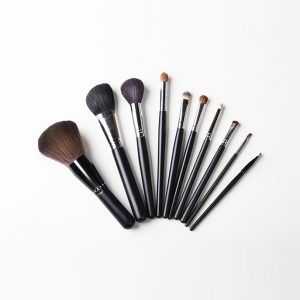Makeup Artist Brushes